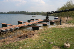 Steg