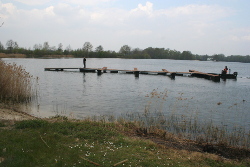 Steg